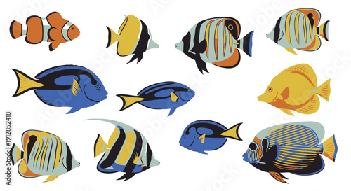 Set of diverse colorful tropical fish illustrations on white