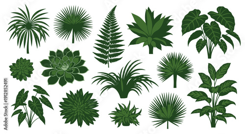 Set of diverse green botanical plants and tropical foliage