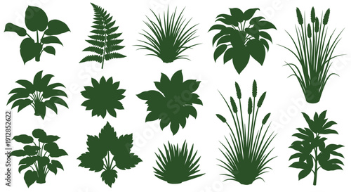 Set of diverse green potted plants isolated on white background