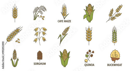 Set of diverse outline grain and cereal crops icons