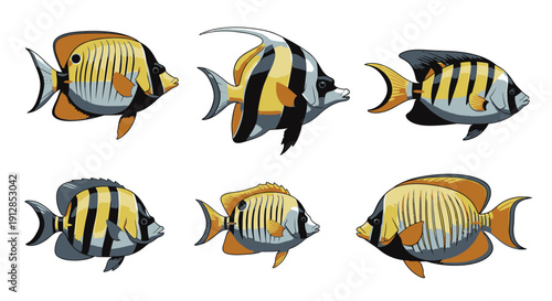Set of six vibrant striped tropical butterflyfish