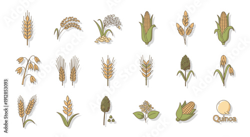Set of various cereal grains and healthy crops illustrations