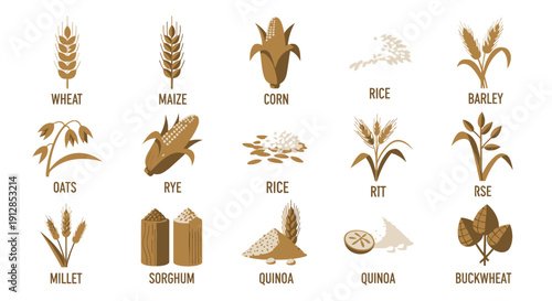 Set of various cereals and grains flat design icons