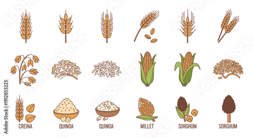 Set of various cereal grains and healthy seeds icons