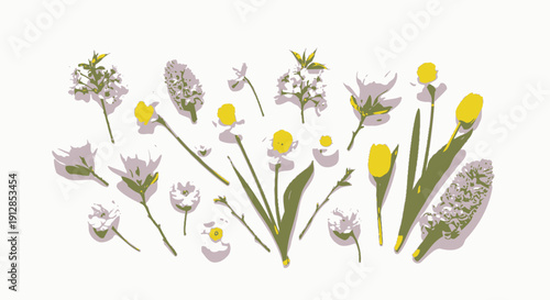 Spring flower collection with daffodils and hyacinths illustration