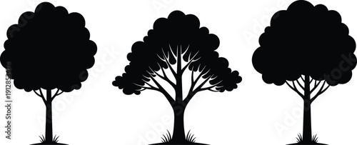 Tree silhouette collection featuring three distinct deciduous trees with lush leafy canopies, elegant branch structures, and grass accents for nature design,