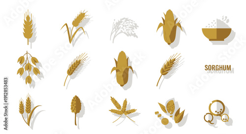Stylized flat icons of various grains and cereals food crops