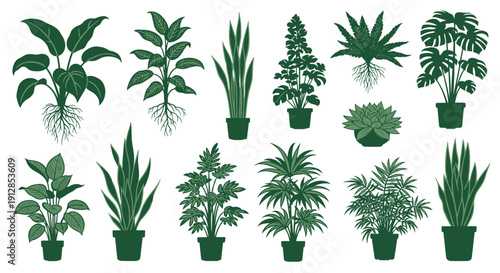 Stylized green houseplants and potted plants with roots illustration