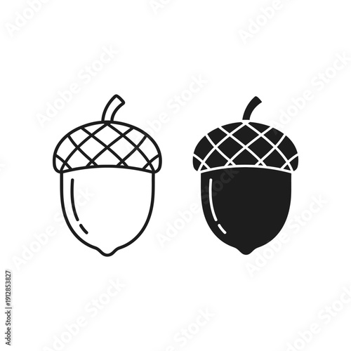 Two contrasting acorn illustrations with different shading techniques