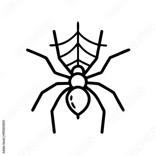 Black line art spider with web illustration on white background  