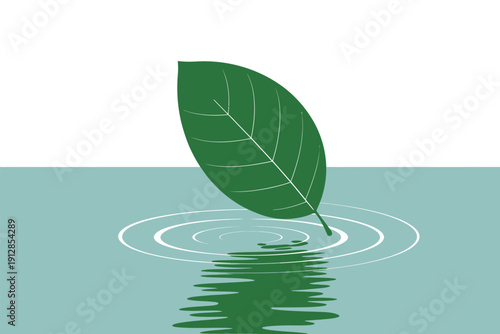 Green leaf gently touches water creating perfect concentric ripples on the.