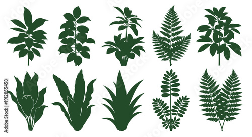 Tropical and indoor plant silhouettes collection on white.