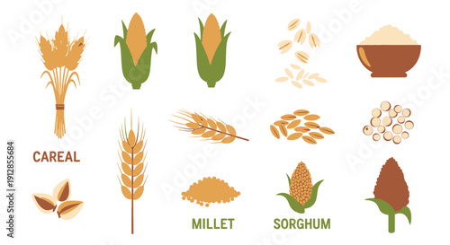 Various cereals and grains flat illustration collection