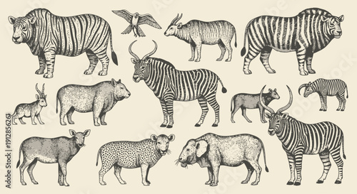 Seamless pattern of vintage engraved African wild animals background