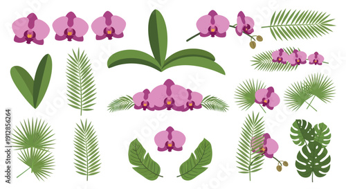 Pink orchids and tropical leaves collection