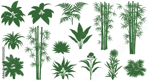 Various tropical reef fish collection in a colorful vector illustration