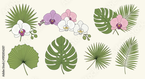 Tropical botanical vector collection with orchids and palm leaves illustration.