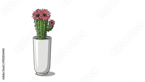 Tall green cactus with pink flowers blooming on top planted in a simple white ceramic vase on a clean white background.