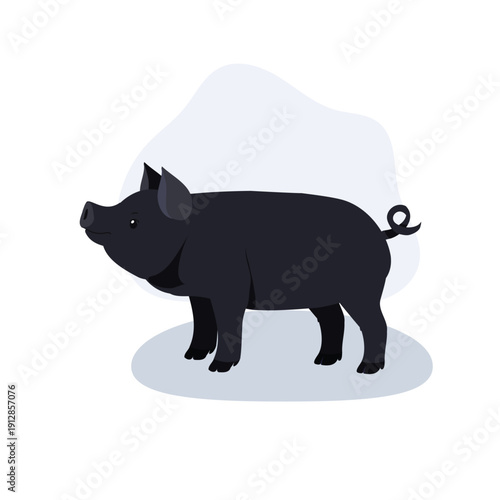Pig cartoon illustration domestic black swine livestock standing side view. Black pig farm animal