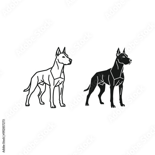 Comparison of a standard and black-coated belgian malinois dog breed illustration