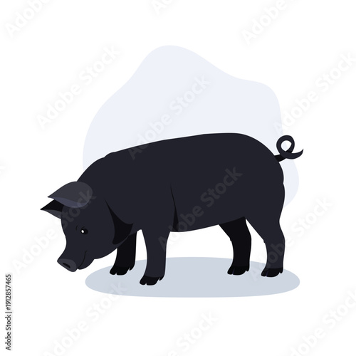 farm black pig character designed as a clean flat illustration for agriculture, breeding and farming concept projects
