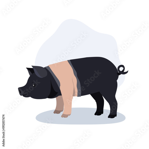 black and white hampshire pig livestock farm animal.  hampshire pig cartoon farm animal side view