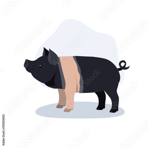 Cute hampshire pig standing in side view. Adorable hampshire pig farm animal in minimal flat style