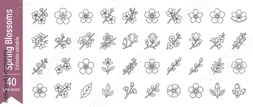 Set of 40 Spring Blossom Line Icons and Branch Elements. Minimalist Botanical Line Art Vector Illustration featuring Cherry Blossoms, Magnolia, Buds, and Leaves for Elegant Floral Graphic Design.
