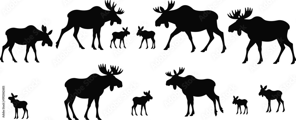 Fototapeta premium Moose Family Silhouette Collection with Bull Cow and Calf Isolated on White Background Wildlife Animal Vector Illustration Set