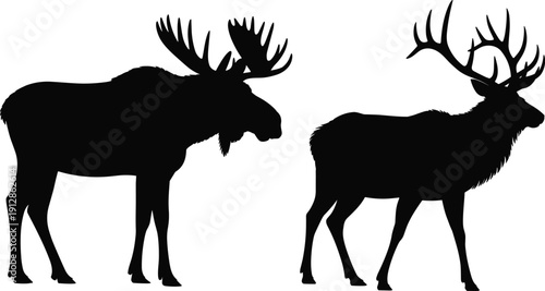 Moose and Elk Silhouette Vector Illustration Set with Large Antlers Isolated Black Wildlife Animals for Hunting Logo Design