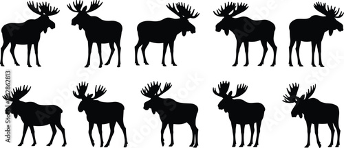 Moose Silhouette Set Collection of Standing and Walking Elk Deer Isolated on White Background Wildlife Vector Illustration