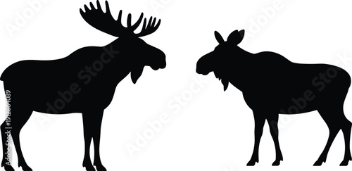 Moose Bull and Cow Silhouettes Facing Each Other Isolated on White Background Wildlife Animal Vector Illustration