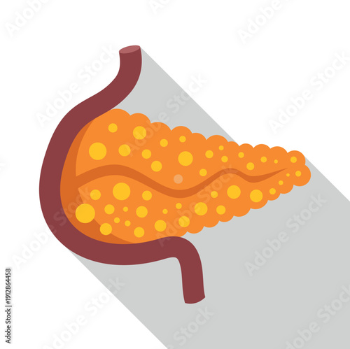 Pancreas organ illustrating human body anatomy and digestive system