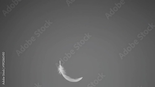 A single white feather gently falling and floating against a plain grey background.