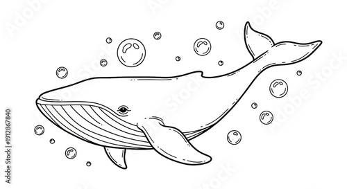 Hand drawn illustration of a whale surrounded by bubbles, black and white vector drawing of marine