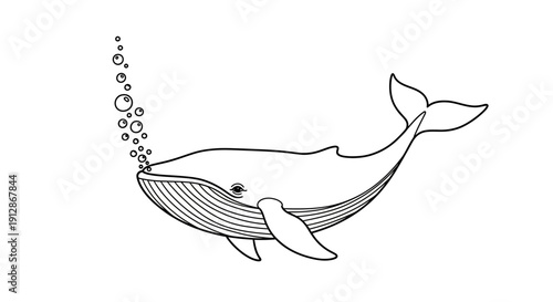 Elegant whale illustration with rising bubbles in black and white design aesthetic
