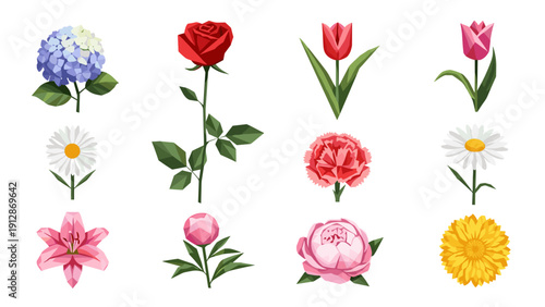 Colorful low poly flowers collection with various blooming plants