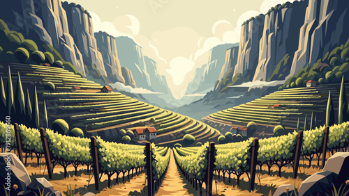 Picturesque vineyards in scenic mountain valley at sunrise
