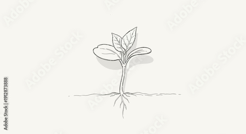 Hand-drawn sprout illustration symbolizing new beginnings and growth potential representing