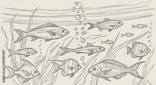 Vintage style line drawing of various fish species swimming in the ocean amongst seaweed