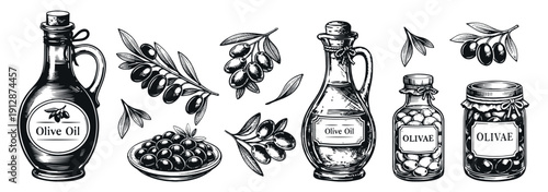 olives vector sketch set