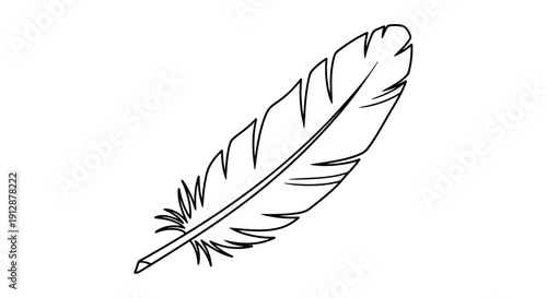 Elegant Line Art of a Feather on a White Background for Creative Projects