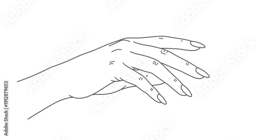 Elegant hand with long nails line art for beauty and fashion themes illustration design for