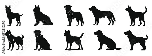 set of alabai dog silhouettes black vector 