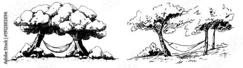 Serene Island Escape: A Hidden Hammock Haven Amidst Nature