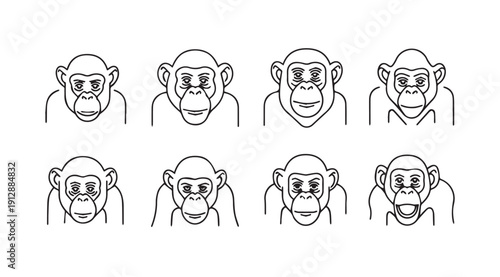 Chimpanzee Faces Line Art Collection, Various Expressions, White Background, Stock Media