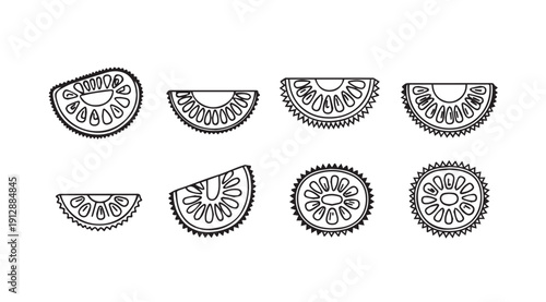 Citrus Fruit Slices Collection, Line Art, Organic Food Elements, Healthy Diet Icons