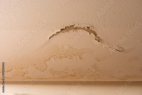 Konstfotografi Wall Damage With Blistering Paint And Water Moisture Stains, Interior Damp Probl