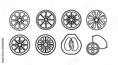 Citrus Slices and Fruit Line Art Icon Set - Vector Illustration