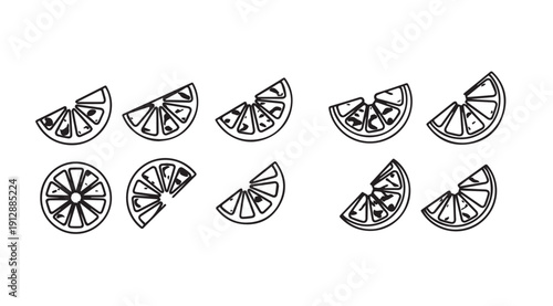 Citrus Slices Hand Drawn Outline Collection Vector Illustration